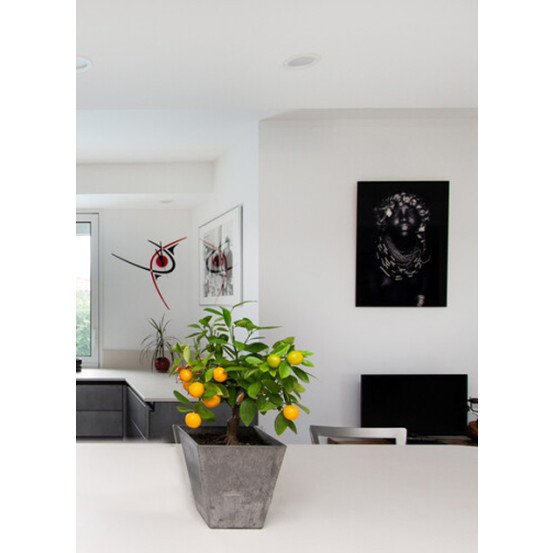 Platte Dekton Aeri (matt)